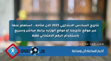 نتائج السادس الابتدائي 2025 الآن متاحة.. استعلم عنها عبر موقع نتائجنا أو موقع الوزارة برابط مباشر وسريع باستخدام الرقم الامتحاني فقط